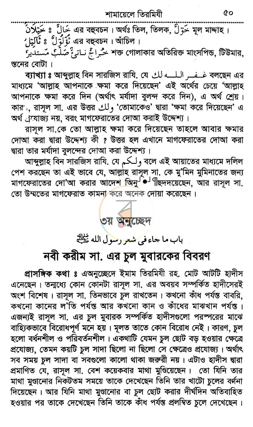 পাতা 12