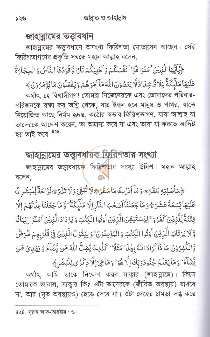 পাতা 13