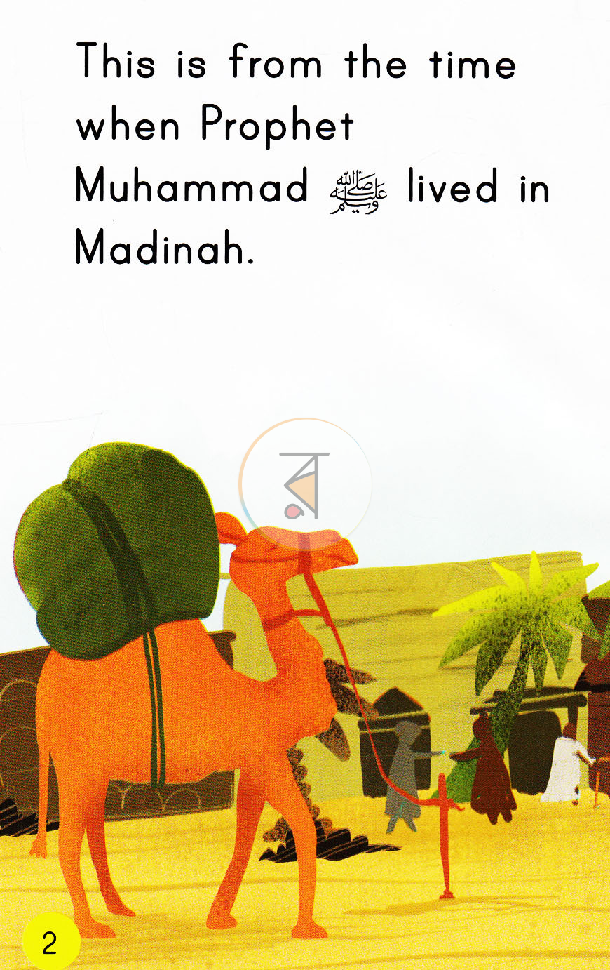 পাতা 8