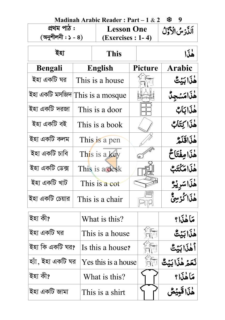 পাতা 8