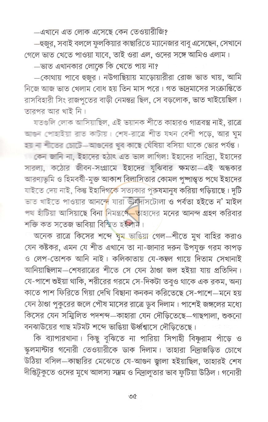 পাতা 13