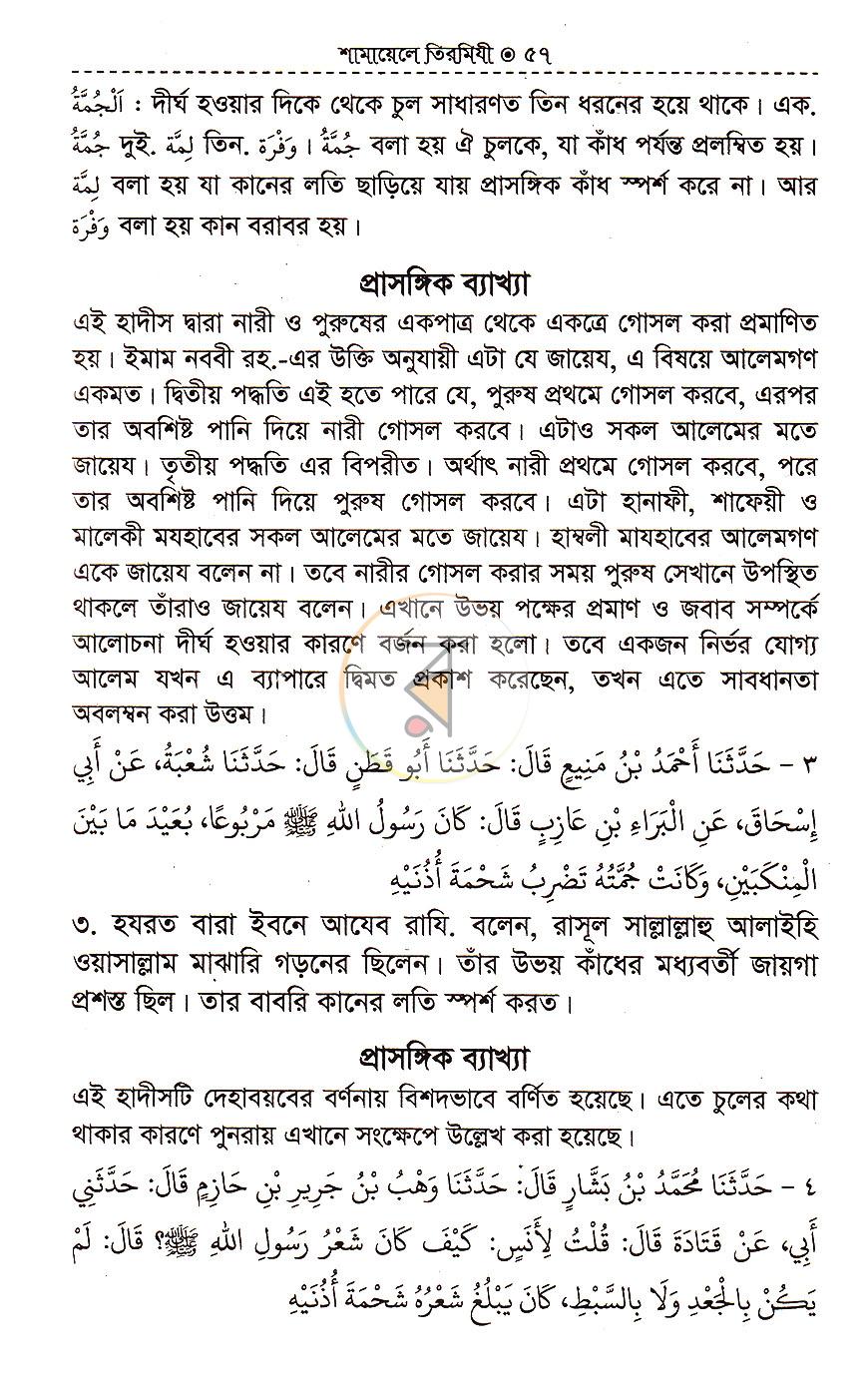 পাতা 17