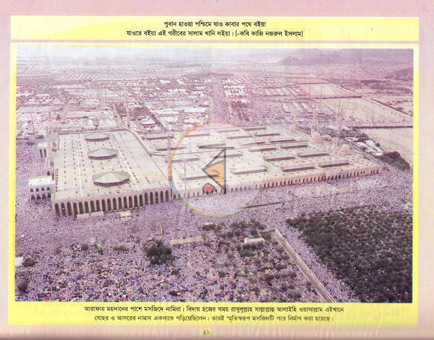 পাতা 11