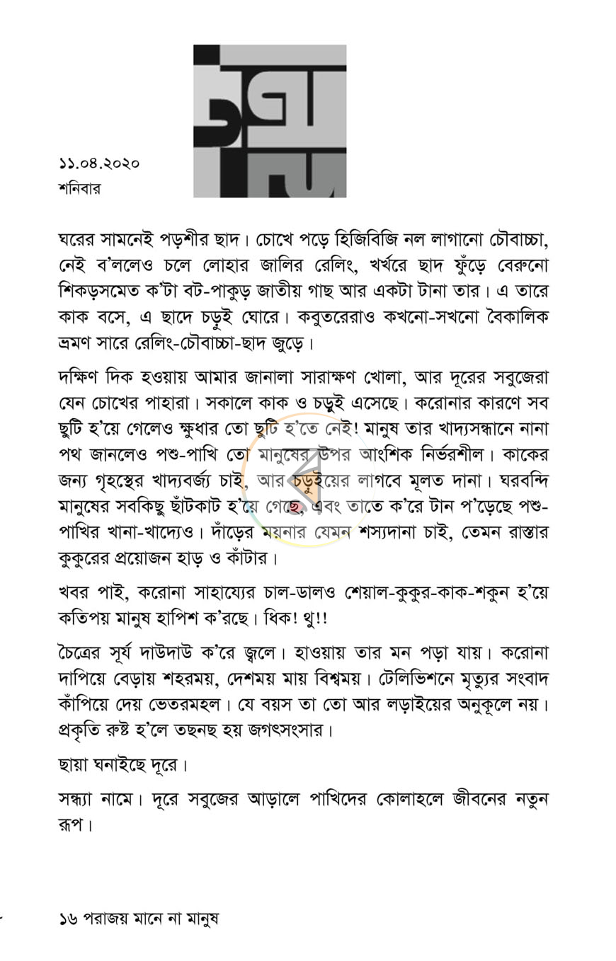 পাতা 8