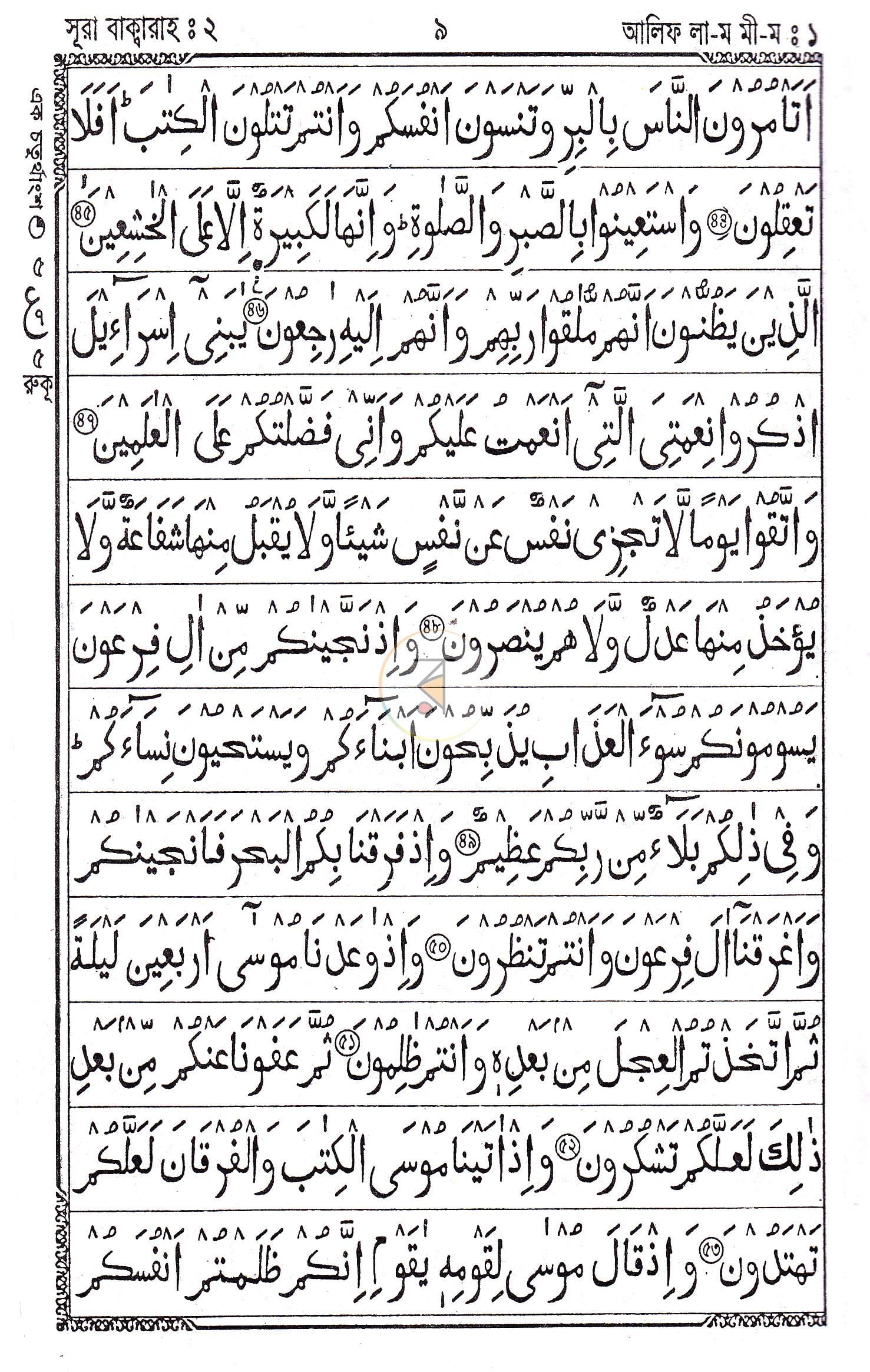 পাতা 8