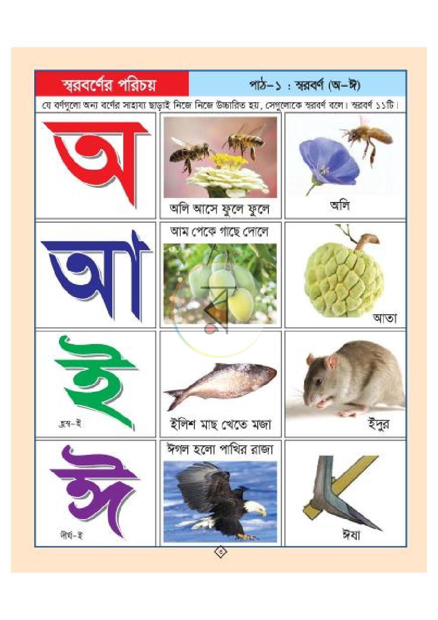 পাতা 3