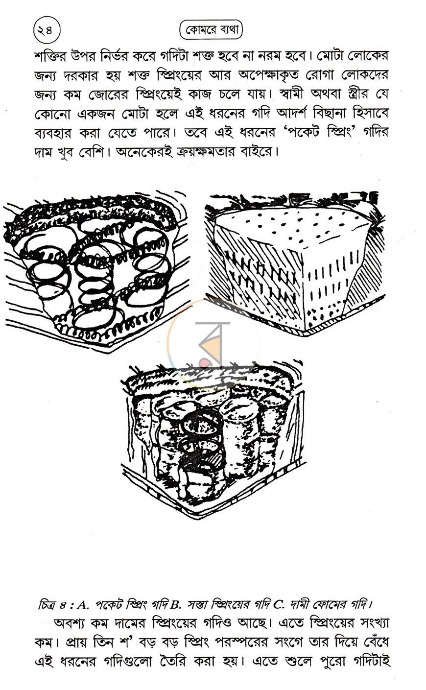 পাতা 13