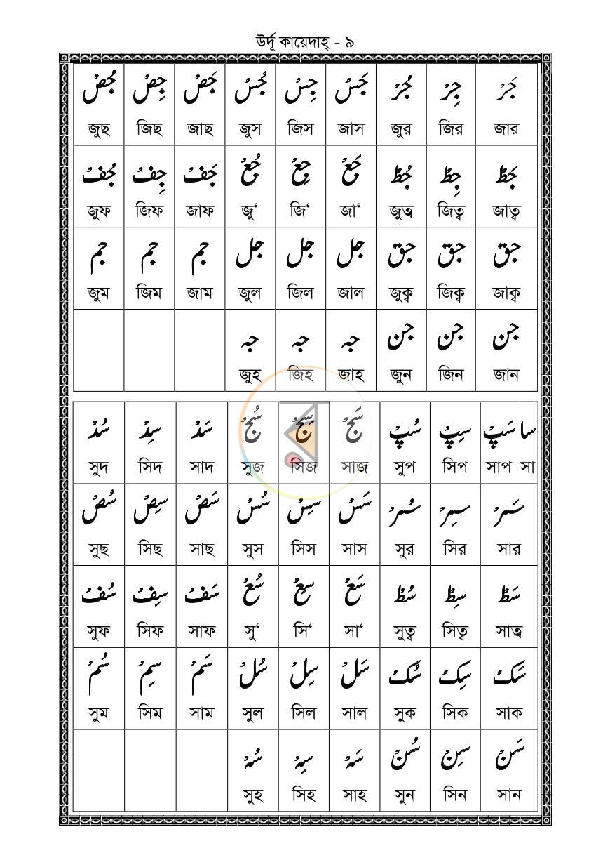 পাতা 8