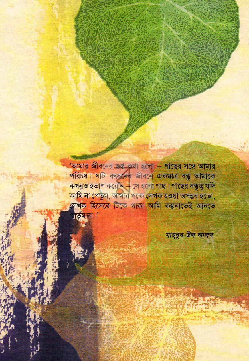 পাতা 11
