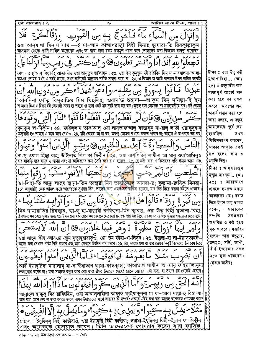 পাতা 8
