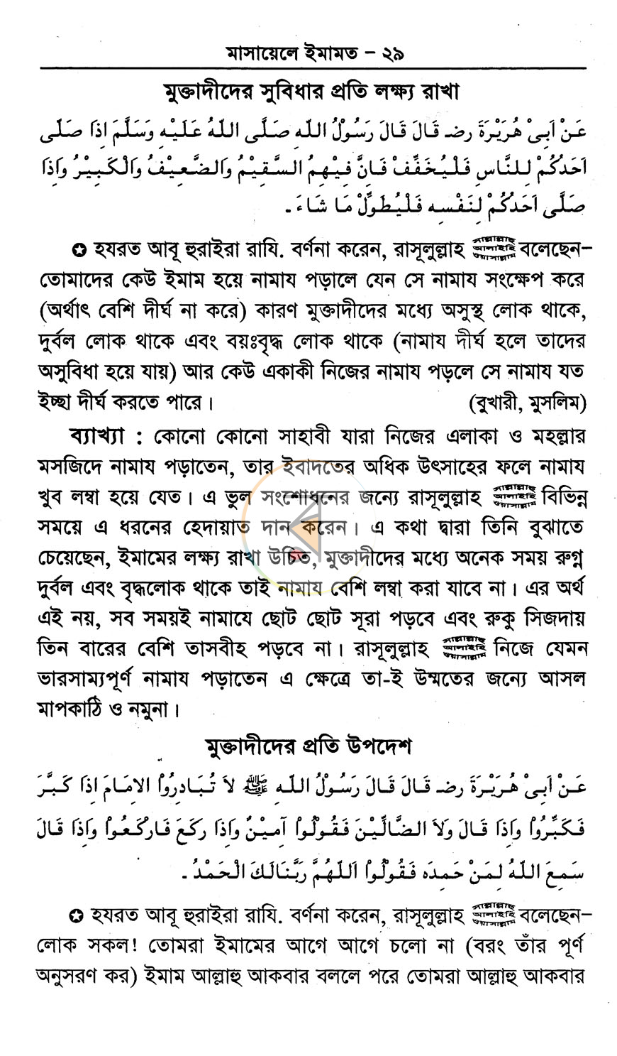 পাতা 11