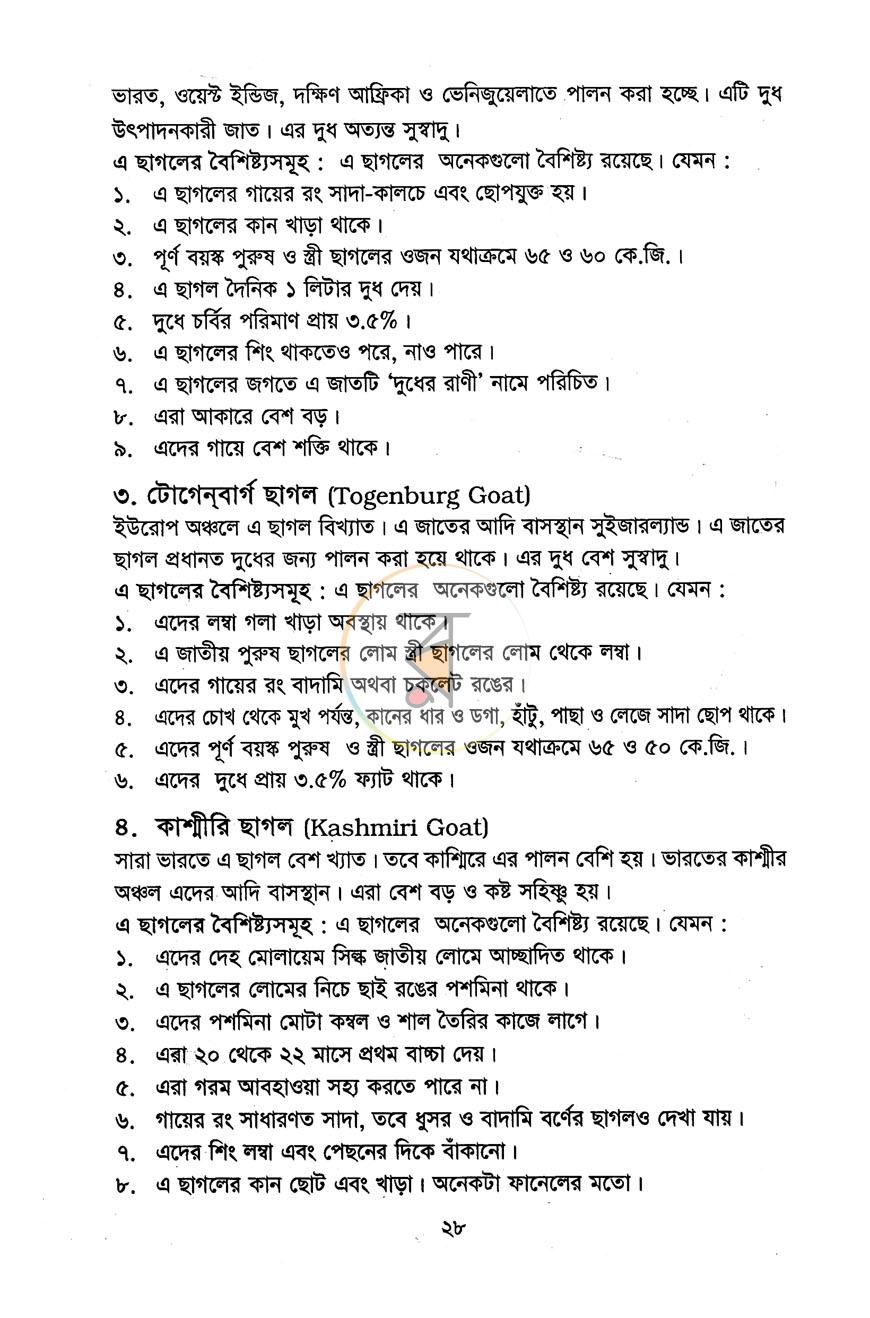 পাতা 11