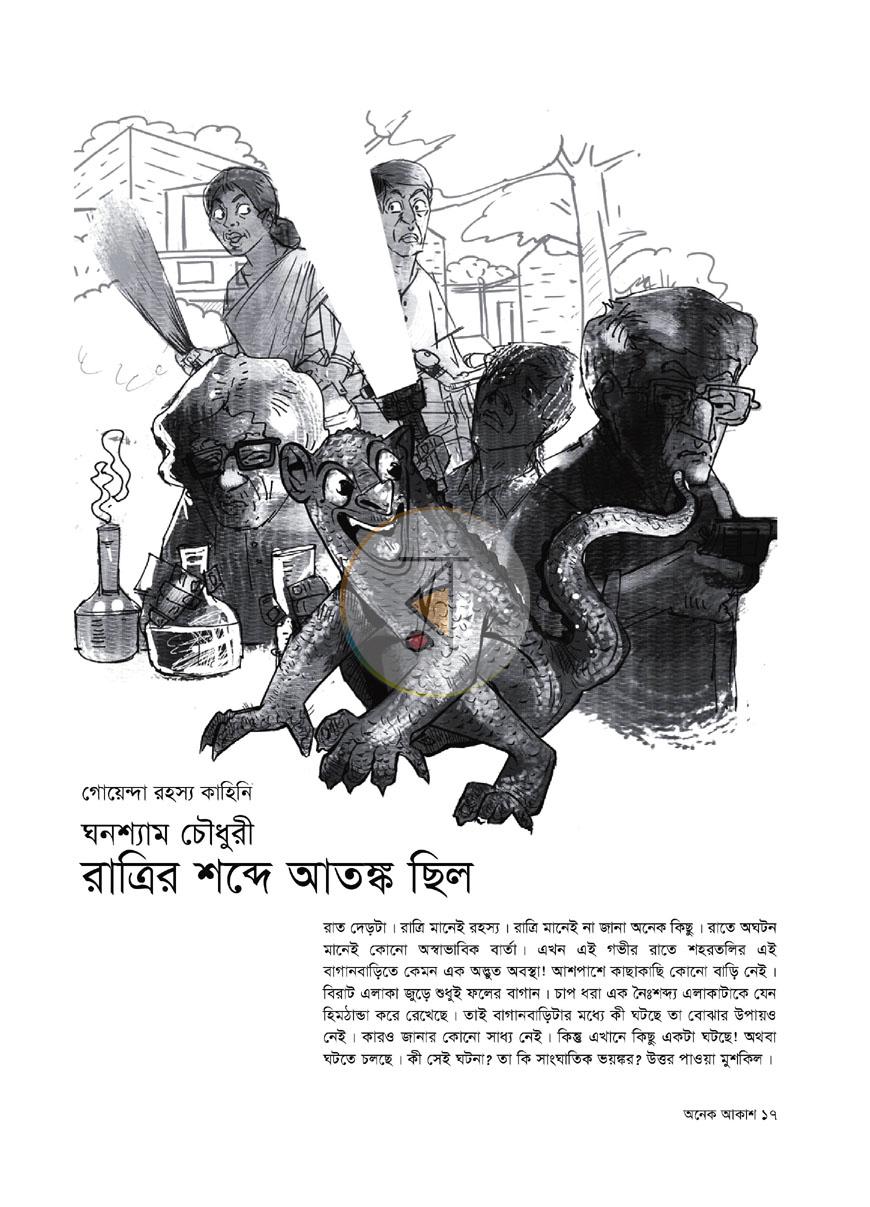 পাতা 11