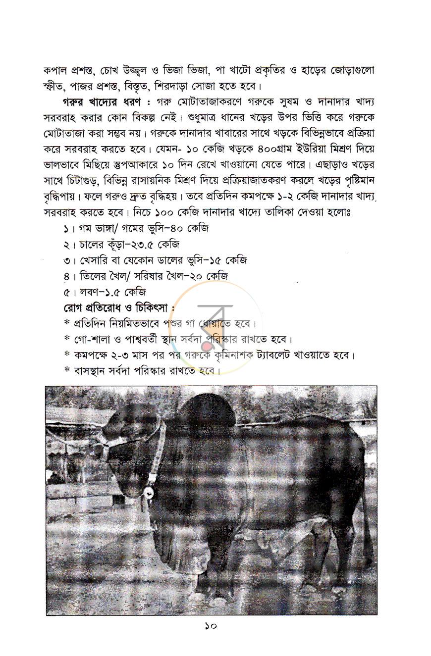 পাতা 9