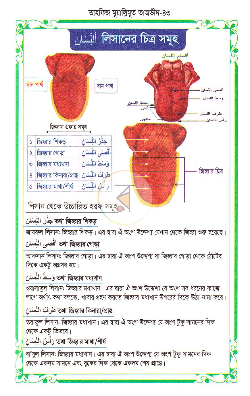 পাতা 17