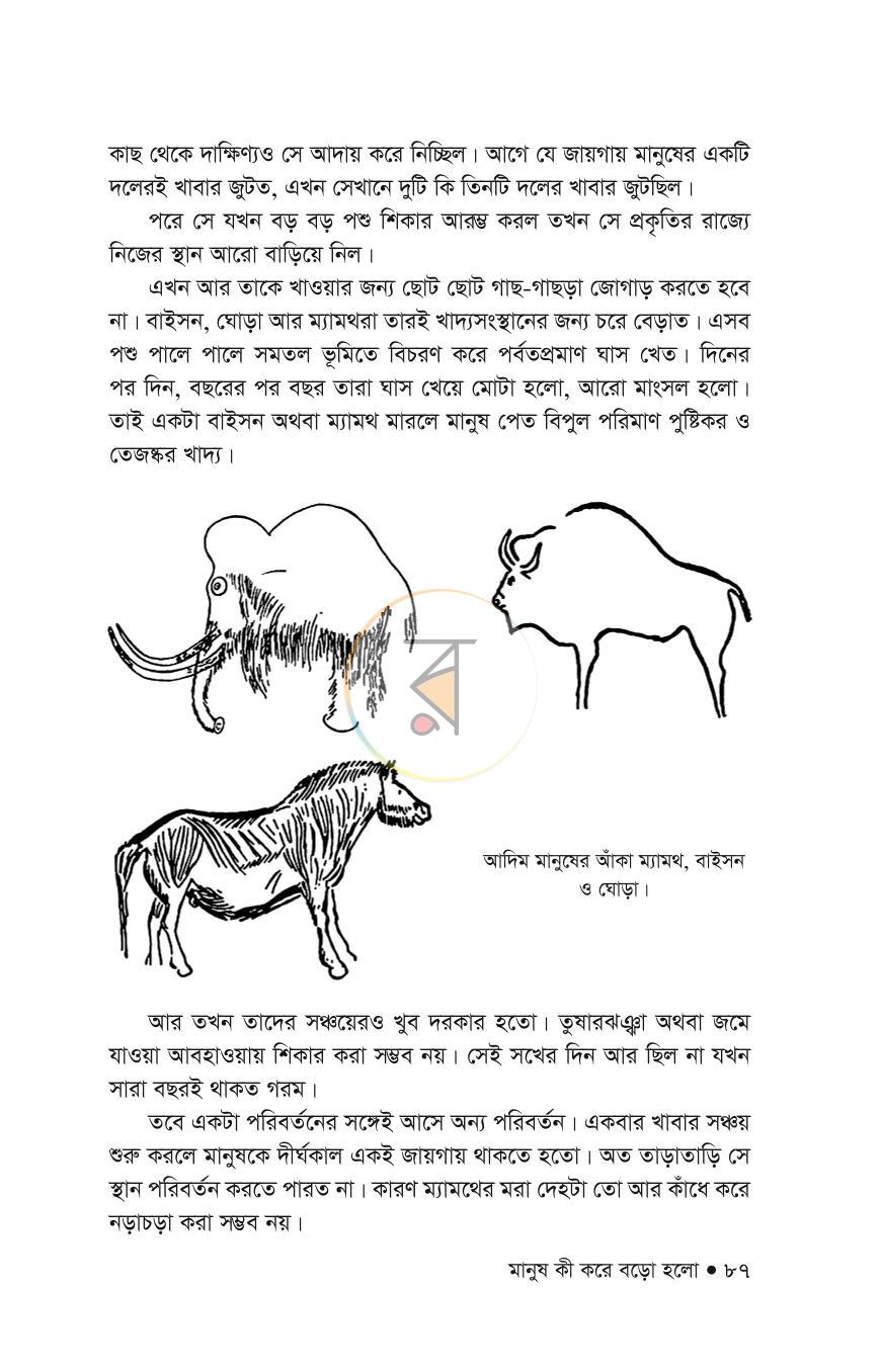 পাতা 29