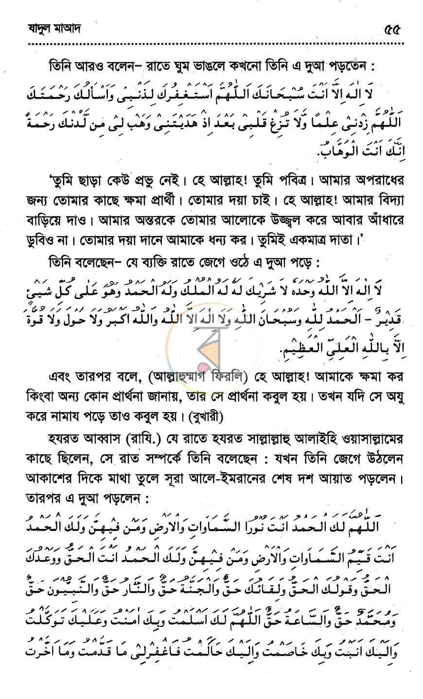 পাতা 11