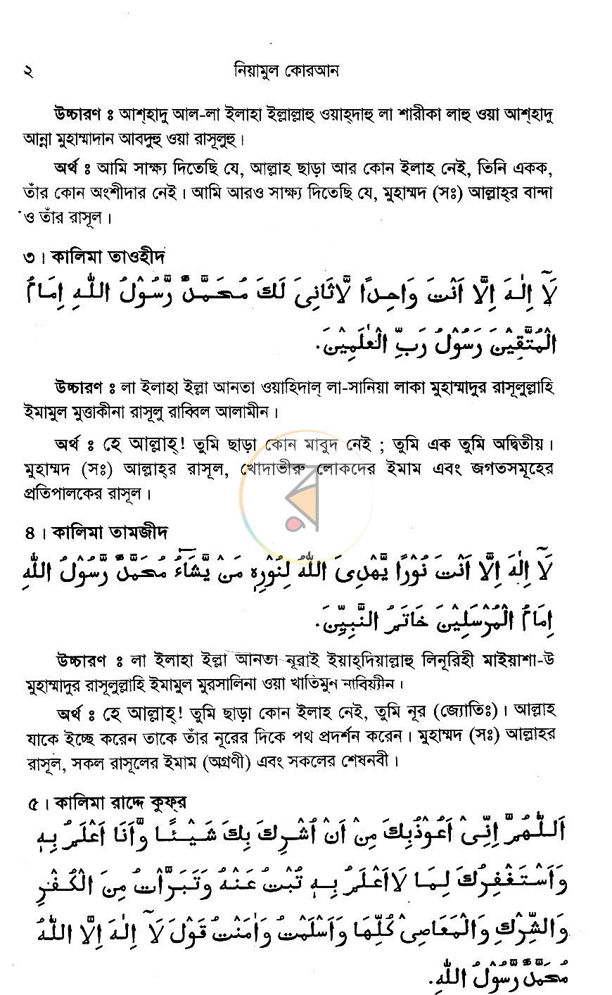 পাতা 13