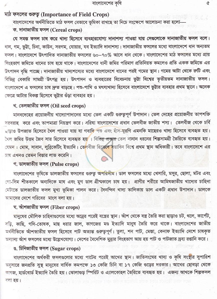 পাতা 12