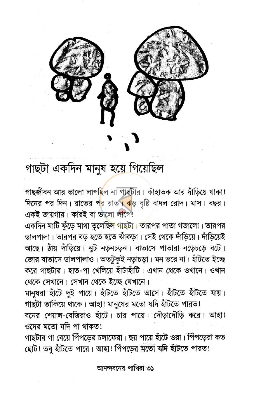 পাতা 11