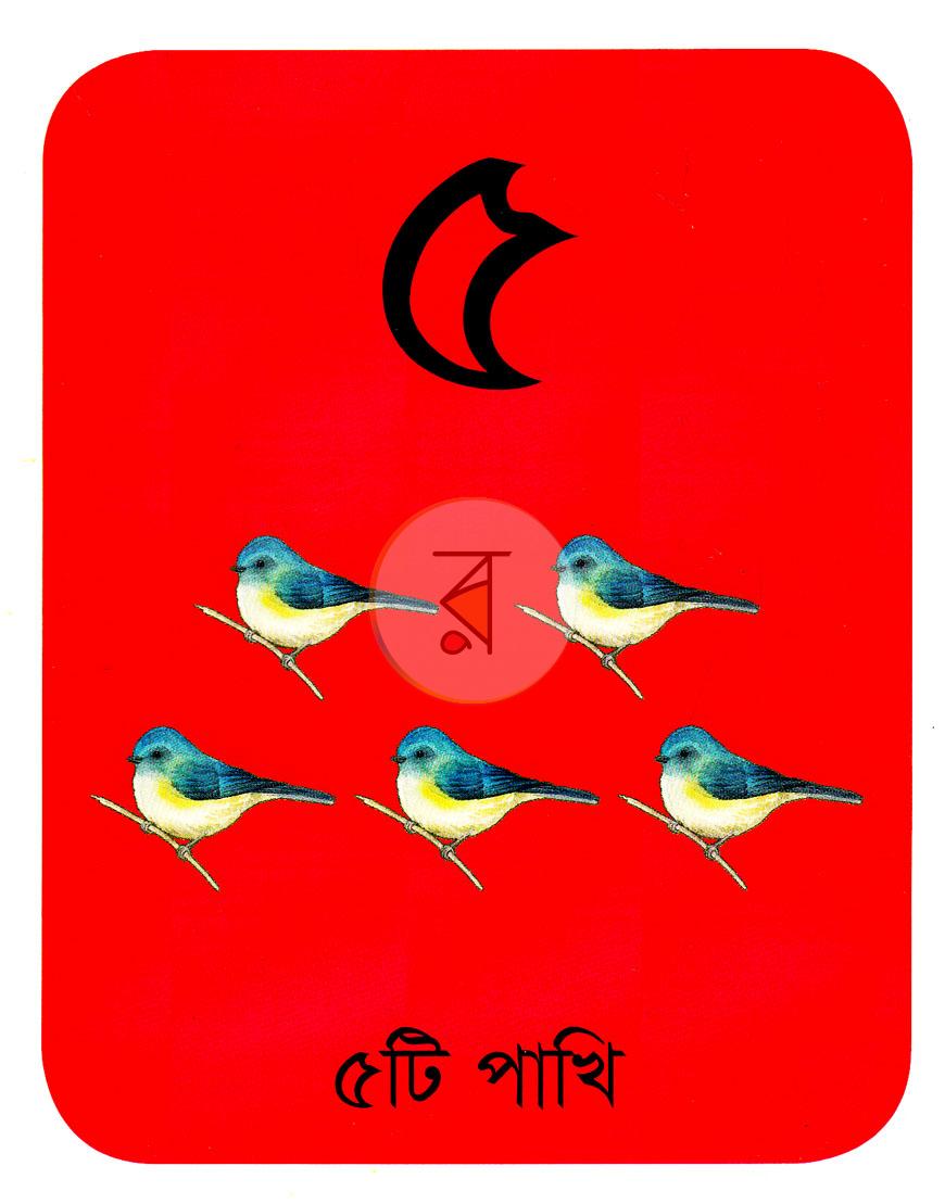 পাতা 5