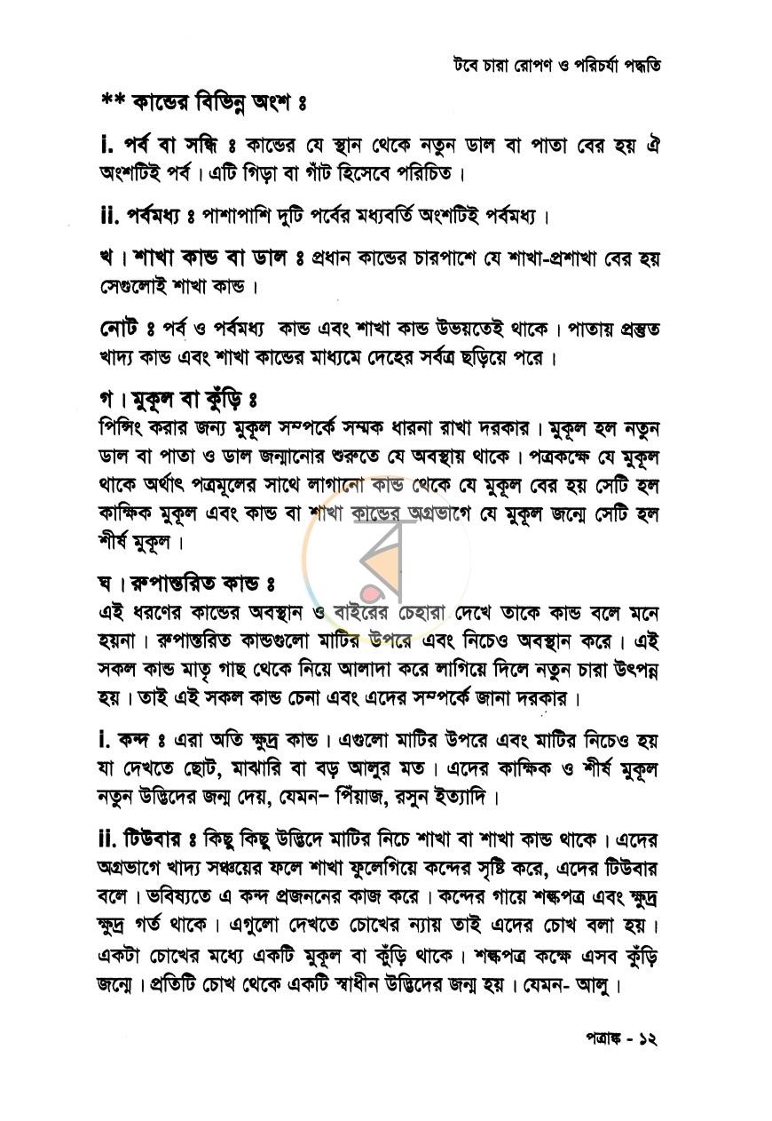 পাতা 7
