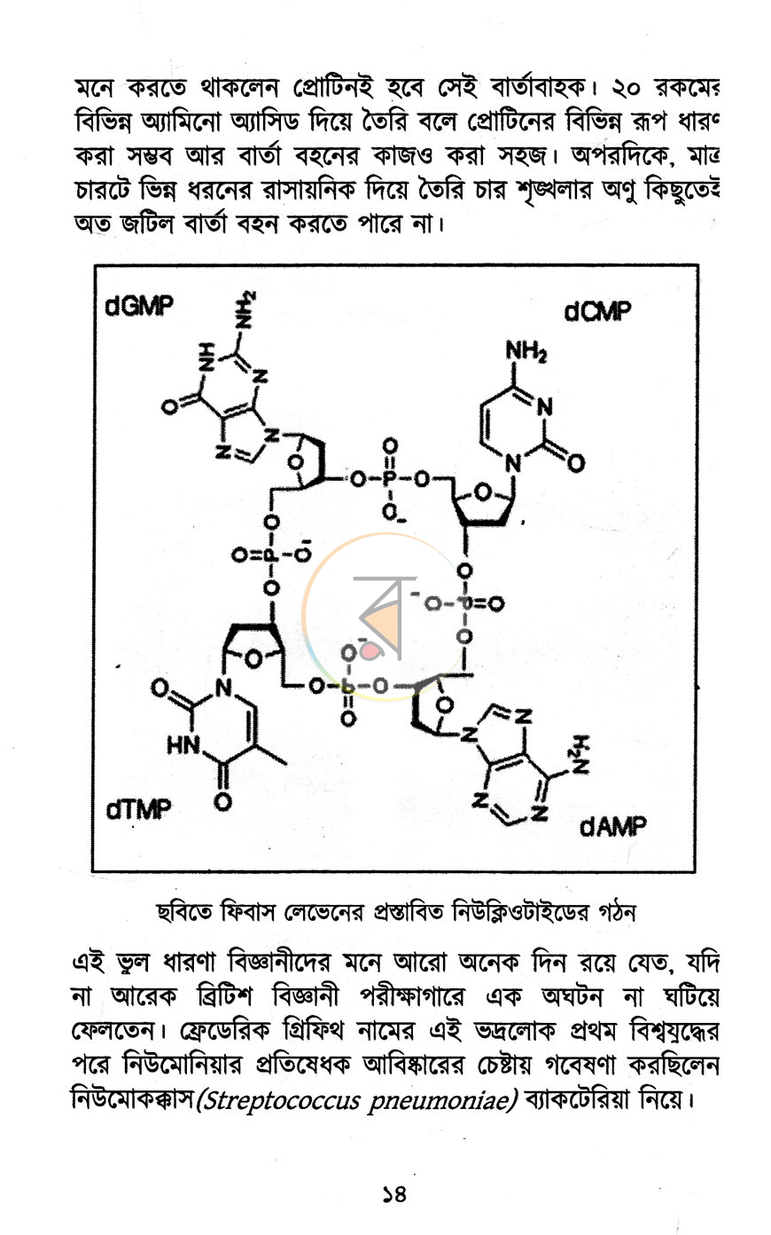পাতা 9