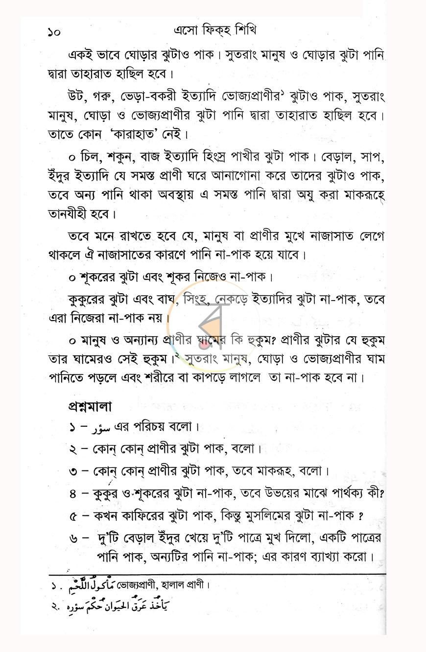 পাতা 11
