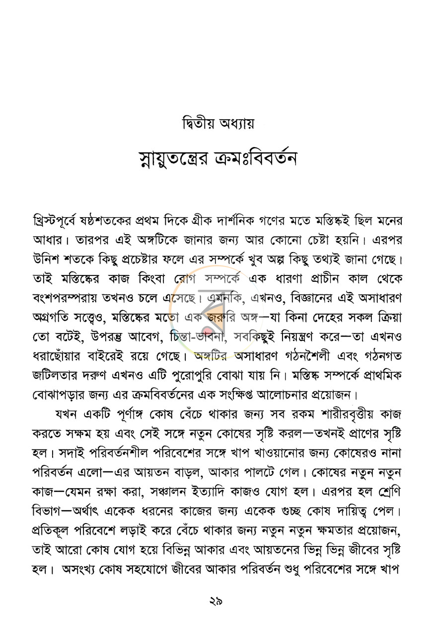 পাতা 10