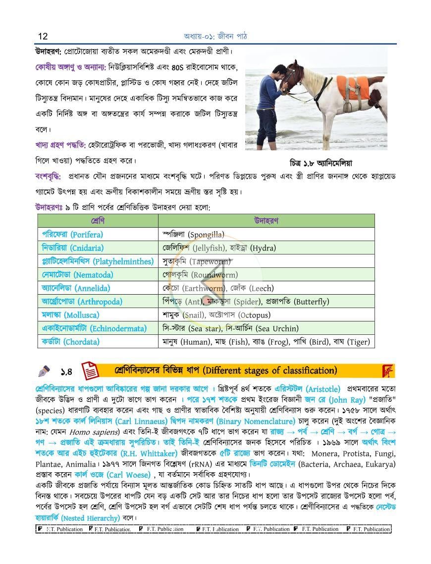 পাতা 12