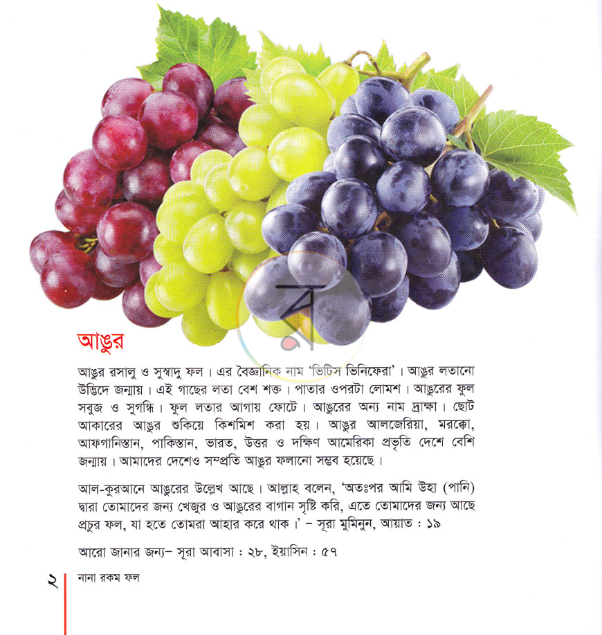 পাতা 26