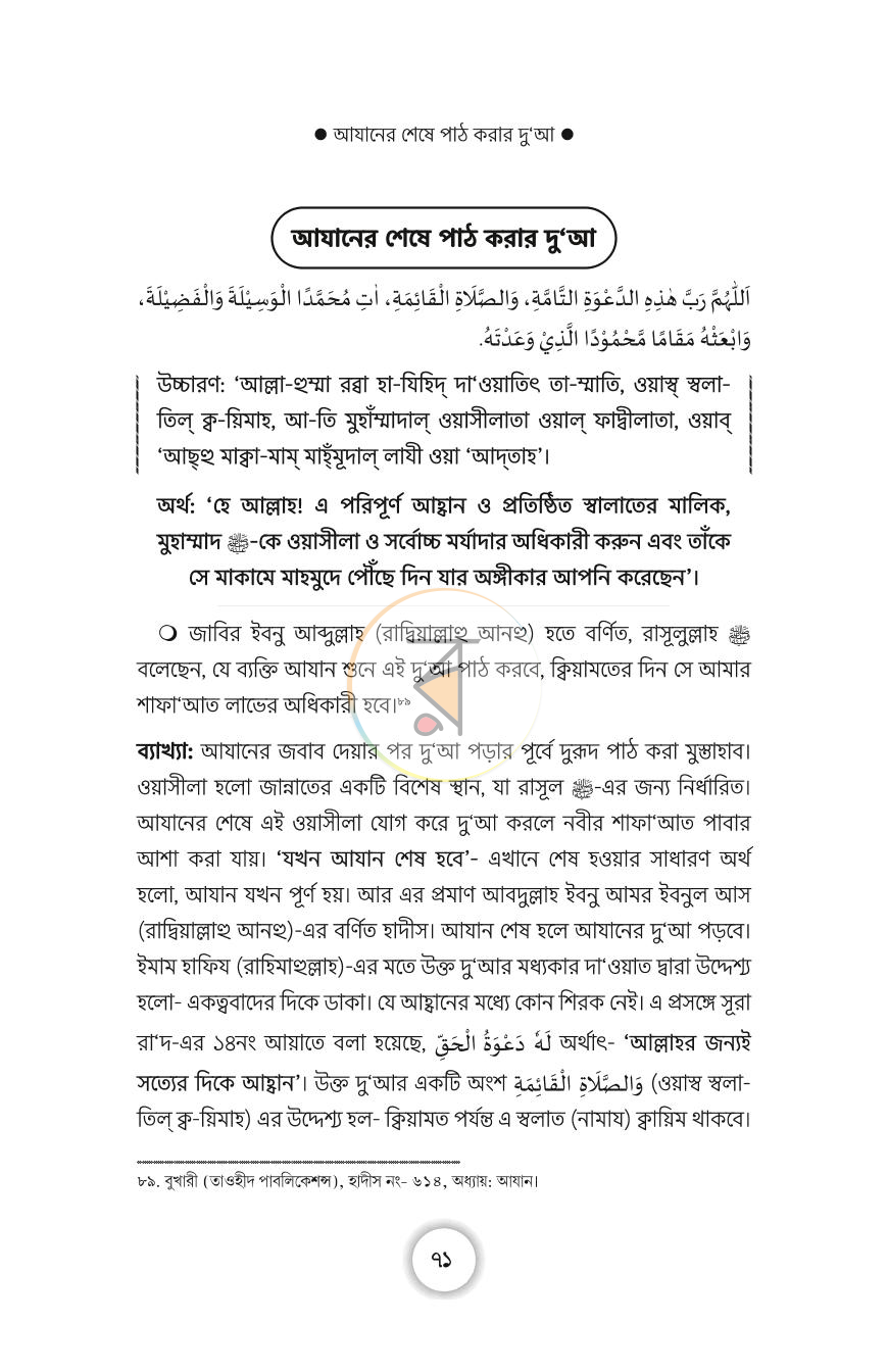 পাতা 11