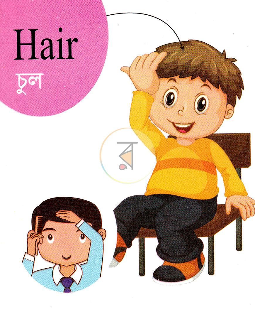 পাতা 2