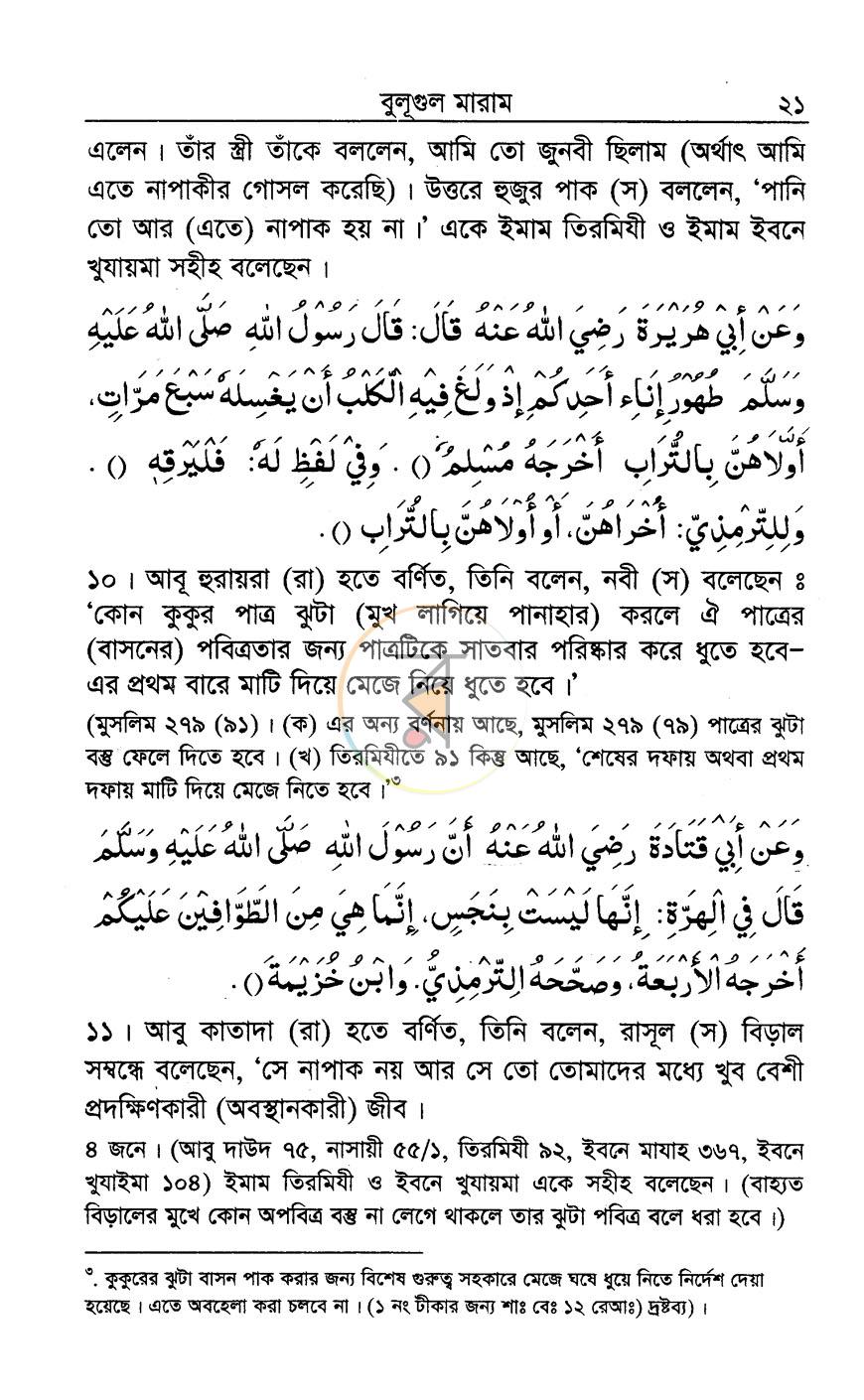 পাতা 14