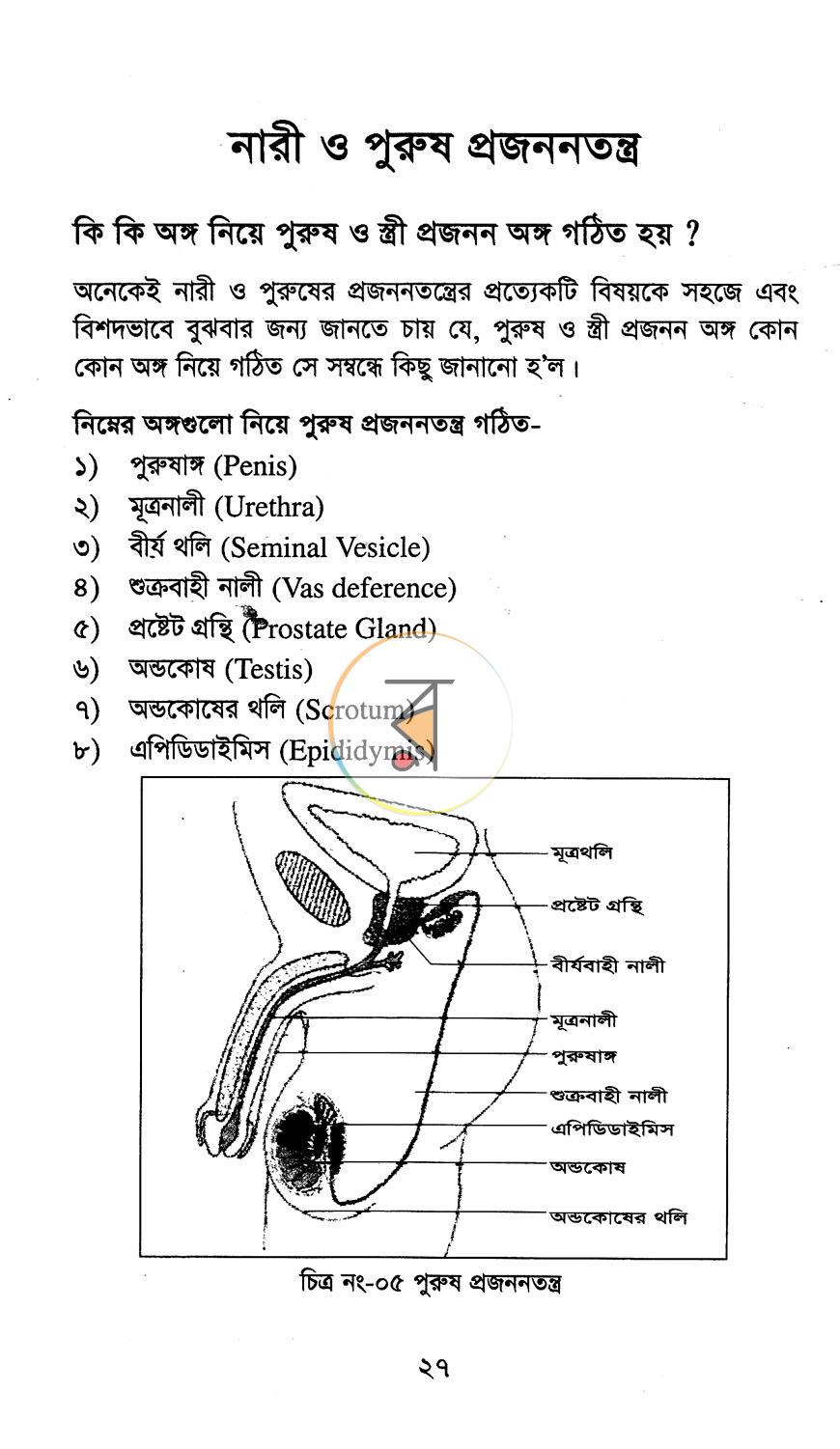 পাতা 12