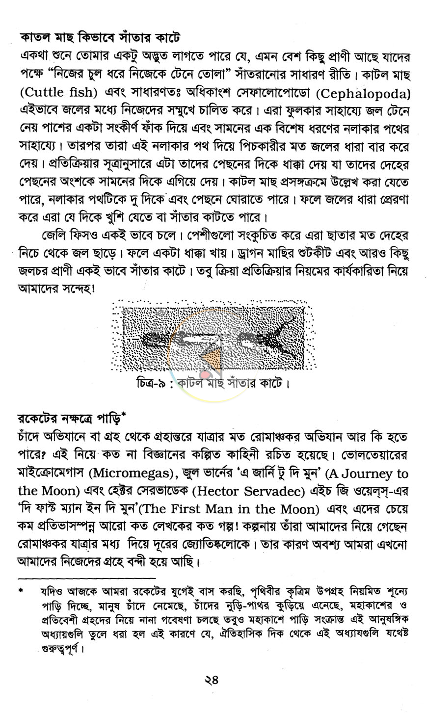 পাতা 8