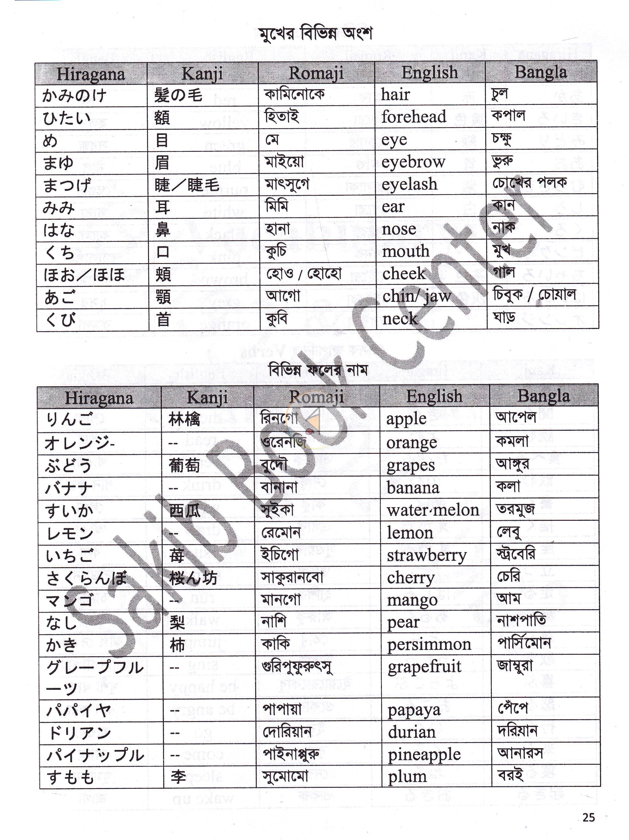 পাতা 11