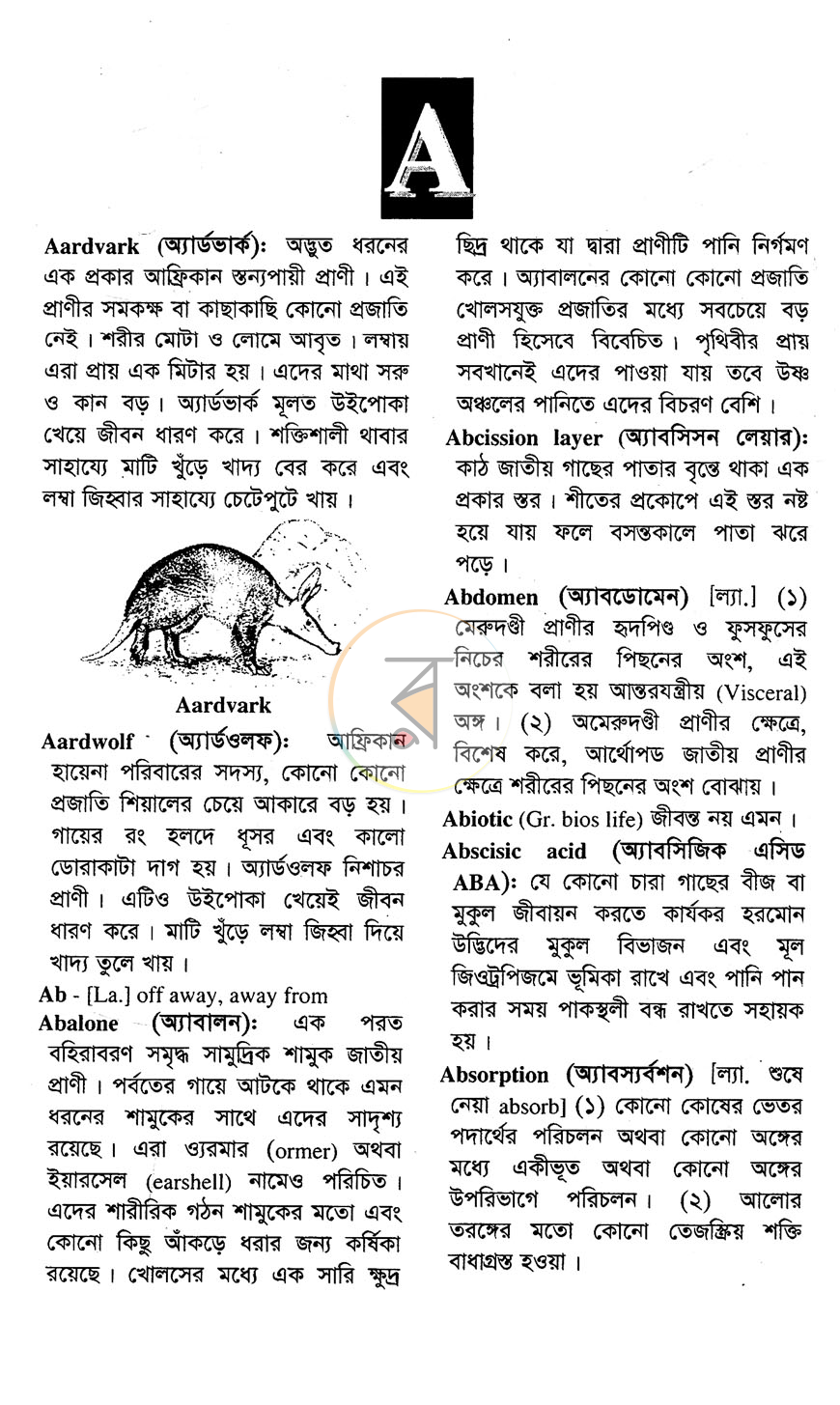 পাতা 2