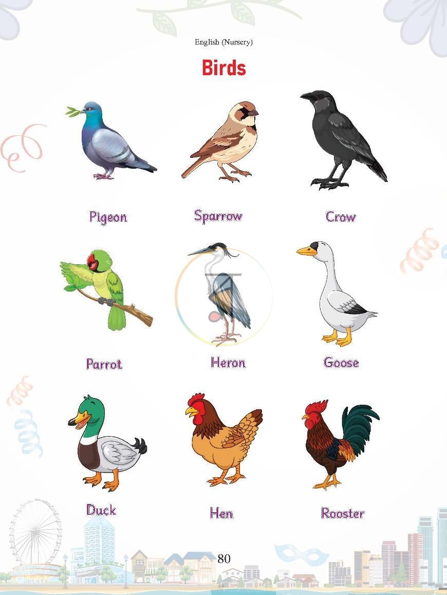পাতা 31