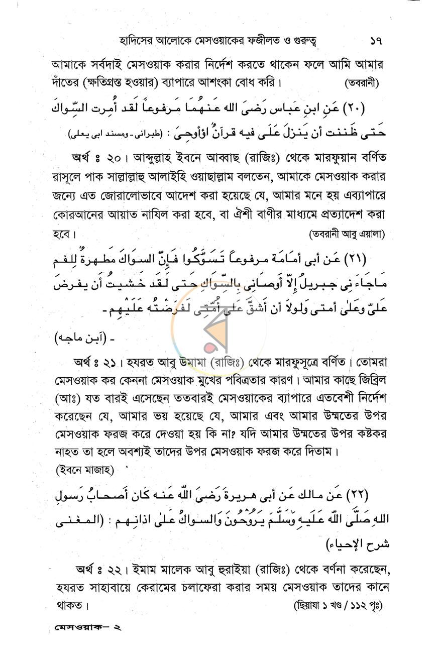 পাতা 11