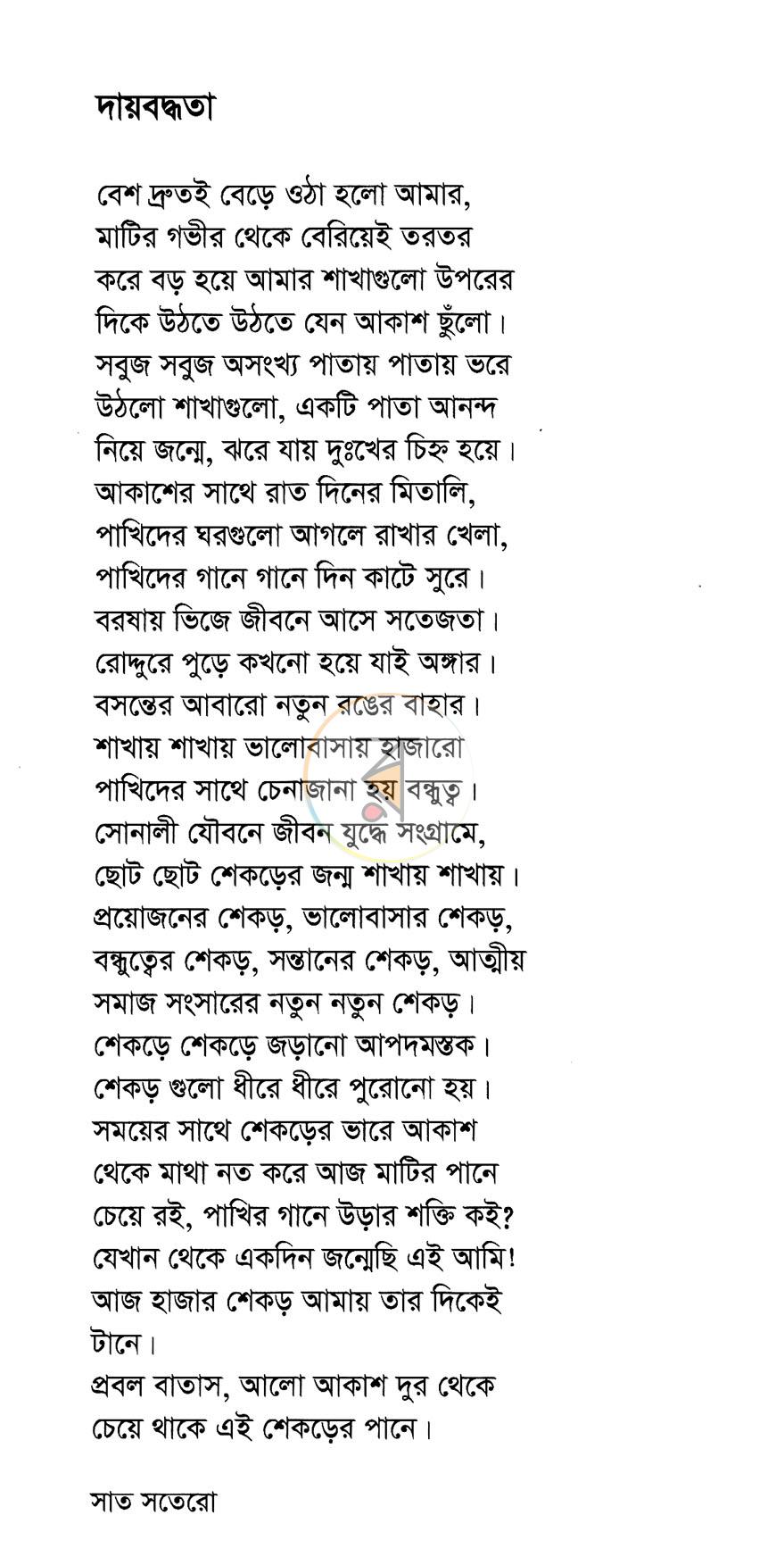 পাতা 11