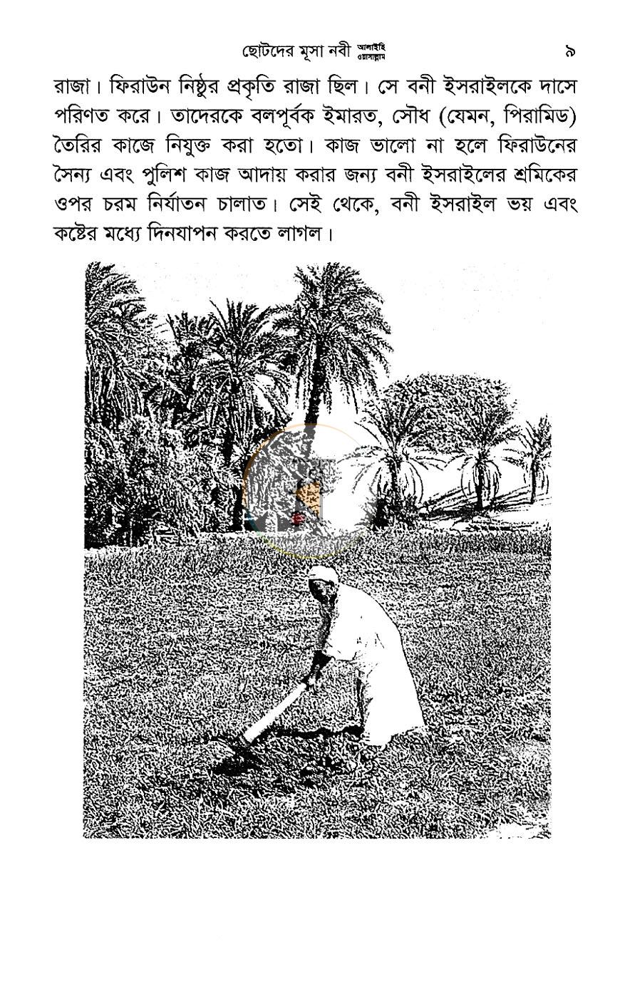 পাতা 7