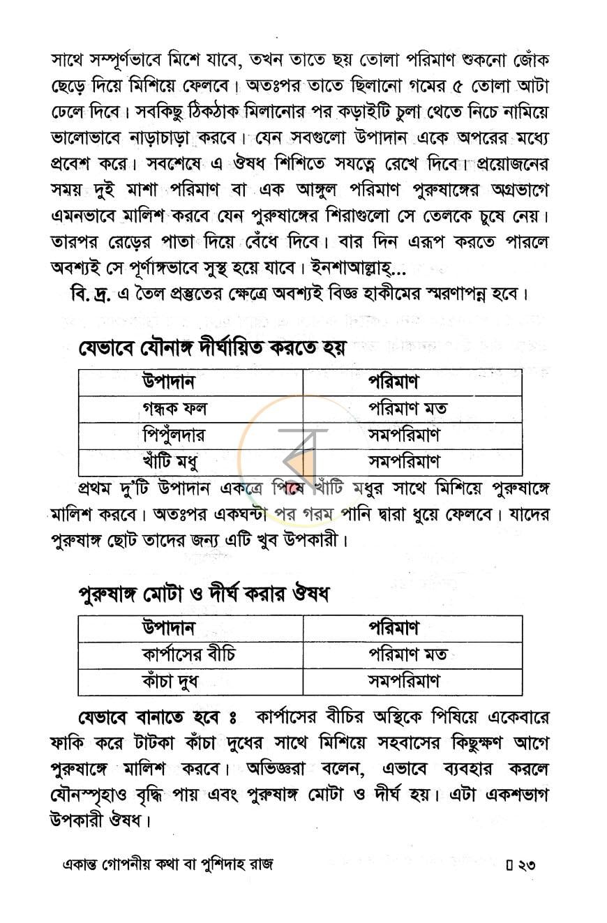 পাতা 13