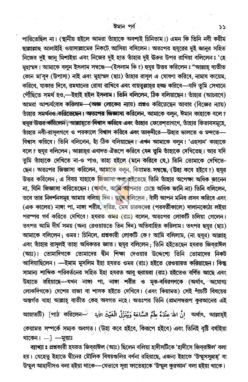 পাতা 10