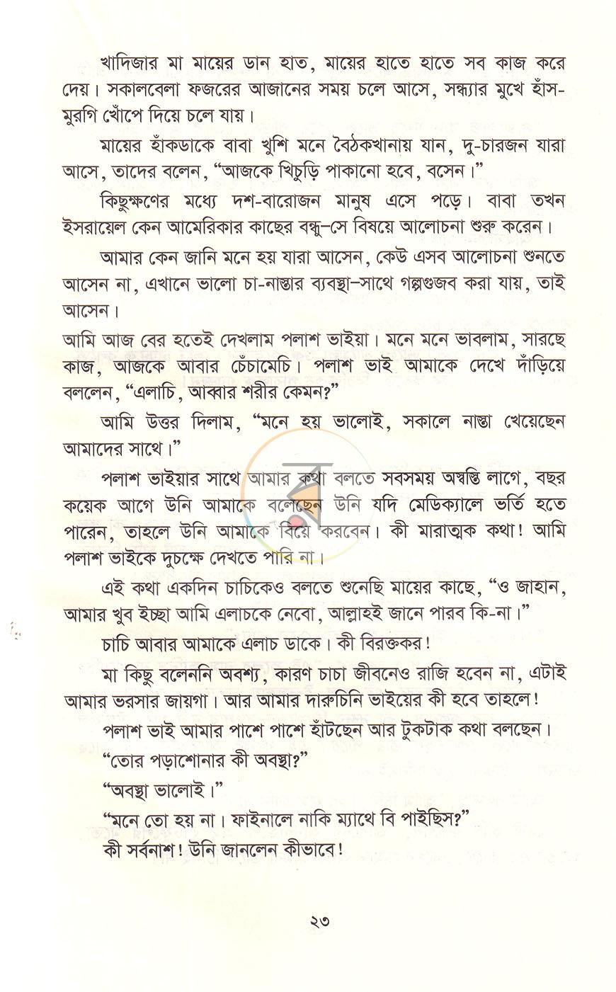 পাতা 13