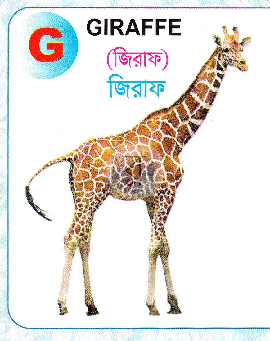 পাতা 7