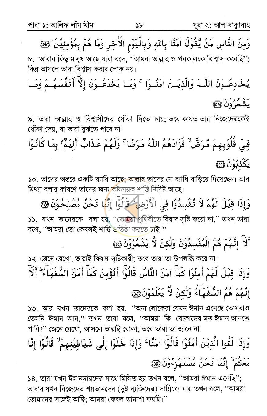 পাতা 11