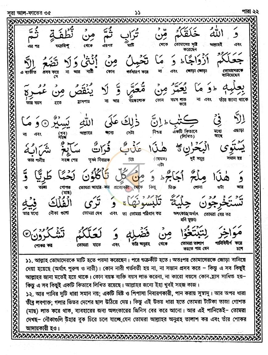 পাতা 10