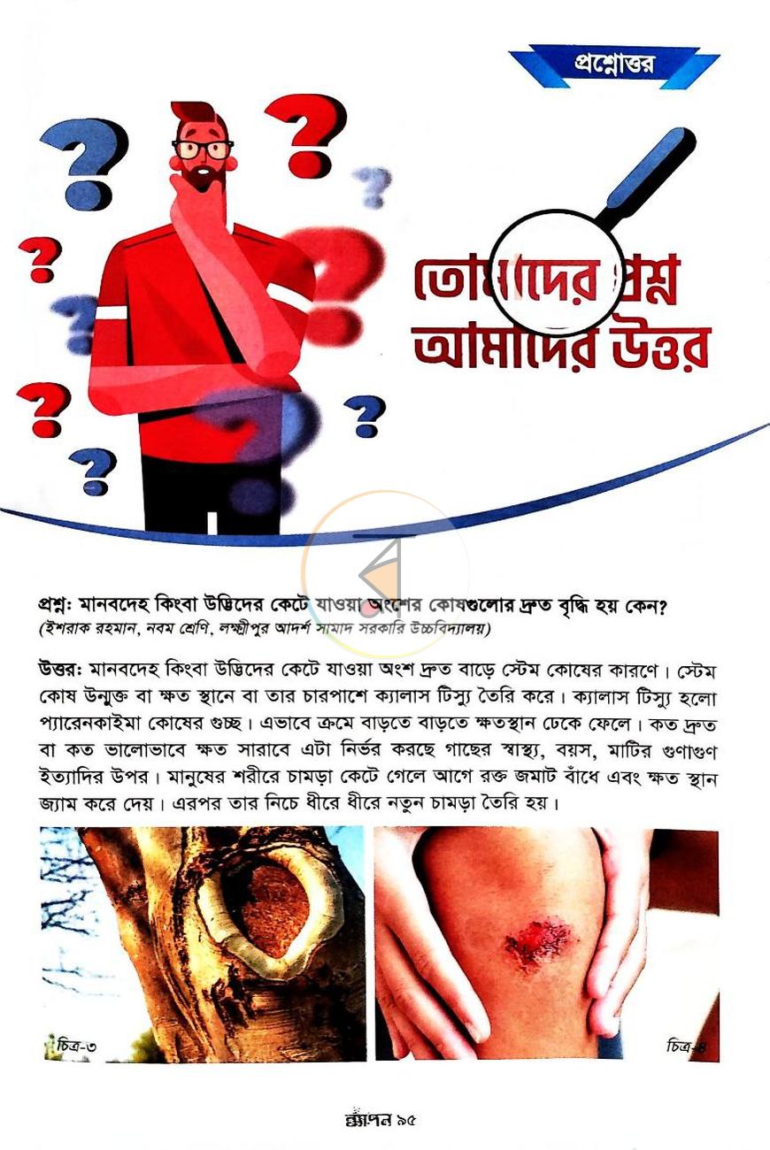 পাতা 6