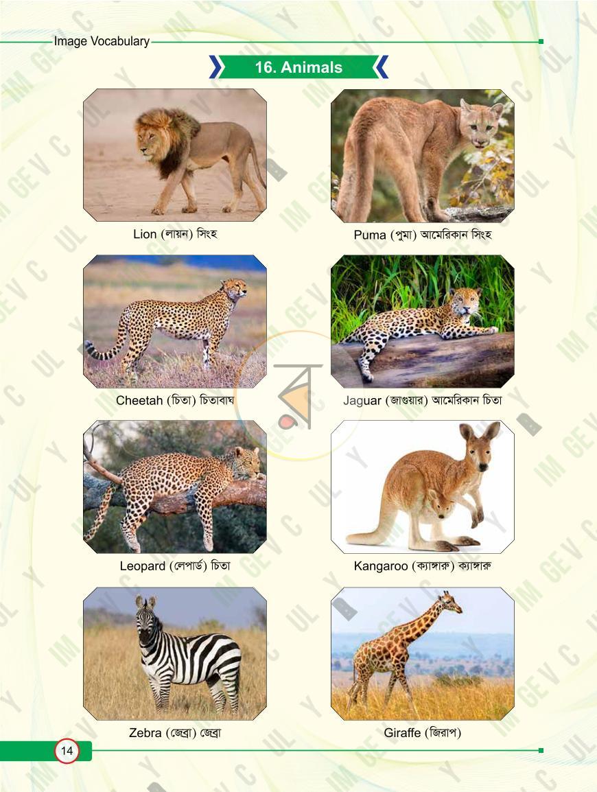 পাতা 14